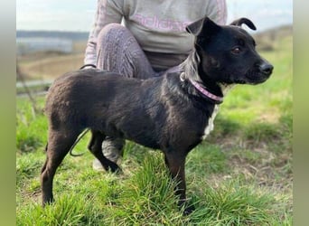 LUCKY 2 sucht sein Glück