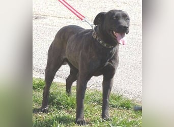 NIKA - Wer gibt ihr die Hoffnung zurück?