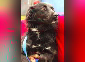 RINA  ist eine  besonders tolle Hundelady