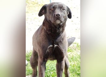 NIKA - Wer gibt ihr die Hoffnung zurück?