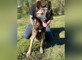 ARWEN wurde herzlos ausgesetzt