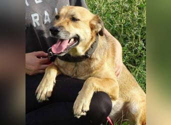 STELLA 2 ist sehr verschmust