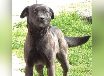 NIKA - Wer gibt ihr die Hoffnung zurück?