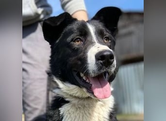 MANY wer tröstet ihn?