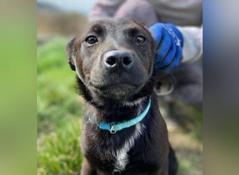 ZARA - wer zeigt ihr die Sonnenseite des Lebens?