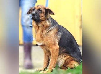 MARINA ist einfach wunderbar