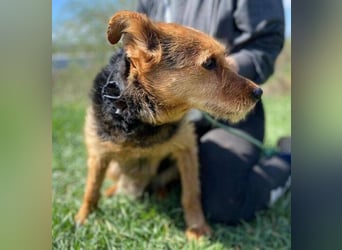 MILLI , wer zeigt ihr wie schön das Leben sein kann.?