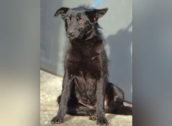 TEA muss um ihr junges Leben zittern