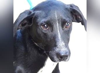 JEFF 2 hat Angst, wer rettet ihn?