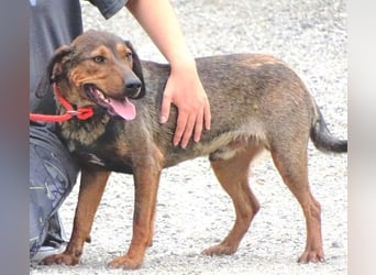 DONNIE braucht Lebensretter