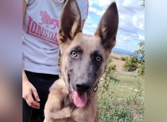 SADIE  ist superfreundlich