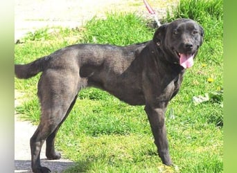 NIKA - Wer gibt ihr die Hoffnung zurück?