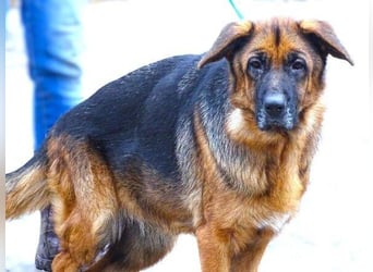 MARINA ist einfach wunderbar