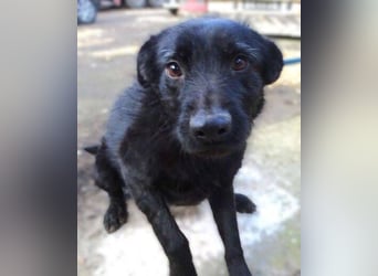 TEA muss um ihr junges Leben zittern