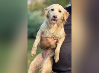 HERA versteht sich mit allen