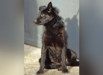 TEA muss um ihr junges Leben zittern