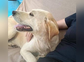 REXI ist ein Goldschatz REXI ist ein Goldschatz