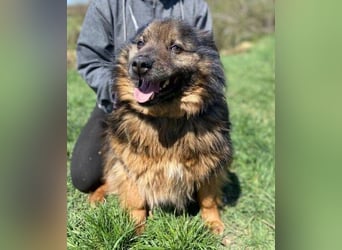 BUGY musste ein elendes Leben fristen