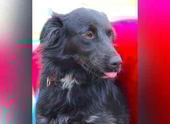 RINA  ist eine  besonders tolle Hundelady