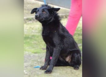 TEA muss um ihr junges Leben zittern