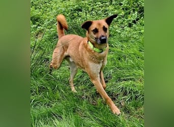 ROXY ist ein super Begleiter