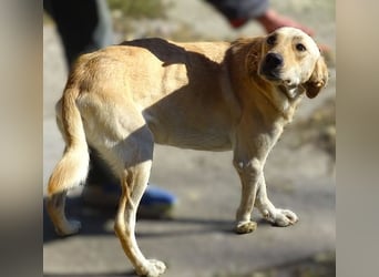 BAK schwebt in großer Gefahr