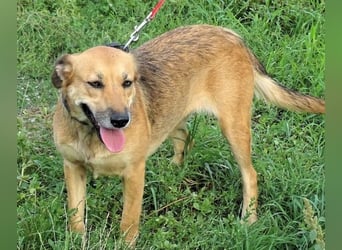 STELLA 2 ist sehr verschmust