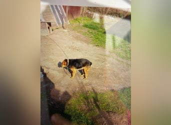 MILLI , wer zeigt ihr wie schön das Leben sein kann.?