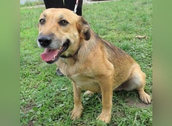 STELLA 2 ist sehr verschmust