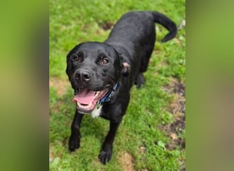 JOHNNY ist ein Hauptgewinn