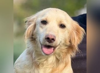 HERA versteht sich mit allen