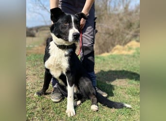 MANY wer tröstet ihn?