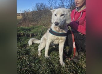 ADRIENA ist verspielt und freundlich