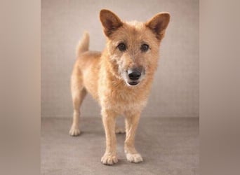 ELZA 2 ist super nett und freundlich