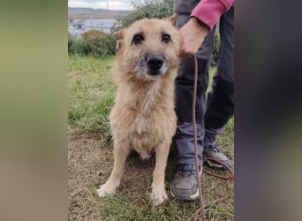 ELZA 2 ist super nett und freundlich