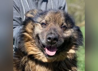 BUGY musste ein elendes Leben fristen