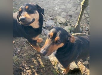 LENKA ist eine ganz sanft Seele