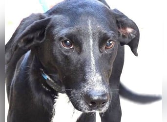 JEFF 2 hat Angst, wer rettet ihn?