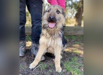 GASTON liebt Menschen über alles