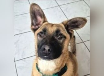 XARO verspielt und aufgeschlossen