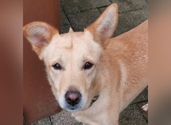 BONI ist sehr liebevoll