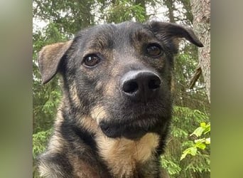 Eric , wo darf er endlich ankommen