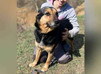 ALFA sehnt sich so nach einer Familie