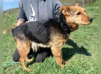 MILLI , wer zeigt ihr wie schön das Leben sein kann.?