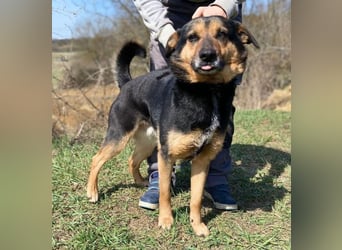 ALFA sehnt sich so nach einer Familie