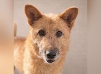 ELZA 2 ist super nett und freundlich