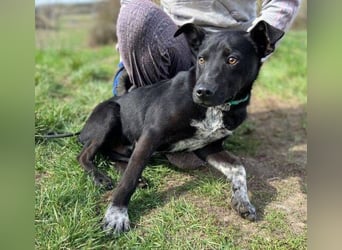 HAPPY  wurde eiskalt ausgesetzt
