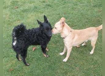 BONI ist sehr liebevoll