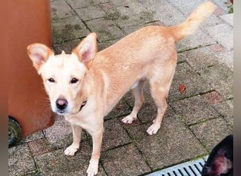 BONI ist sehr liebevoll