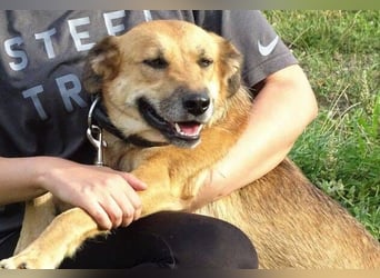 STELLA 2 ist sehr verschmust